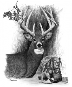 WHITETAIL DREAMS - Limited Edition Print
